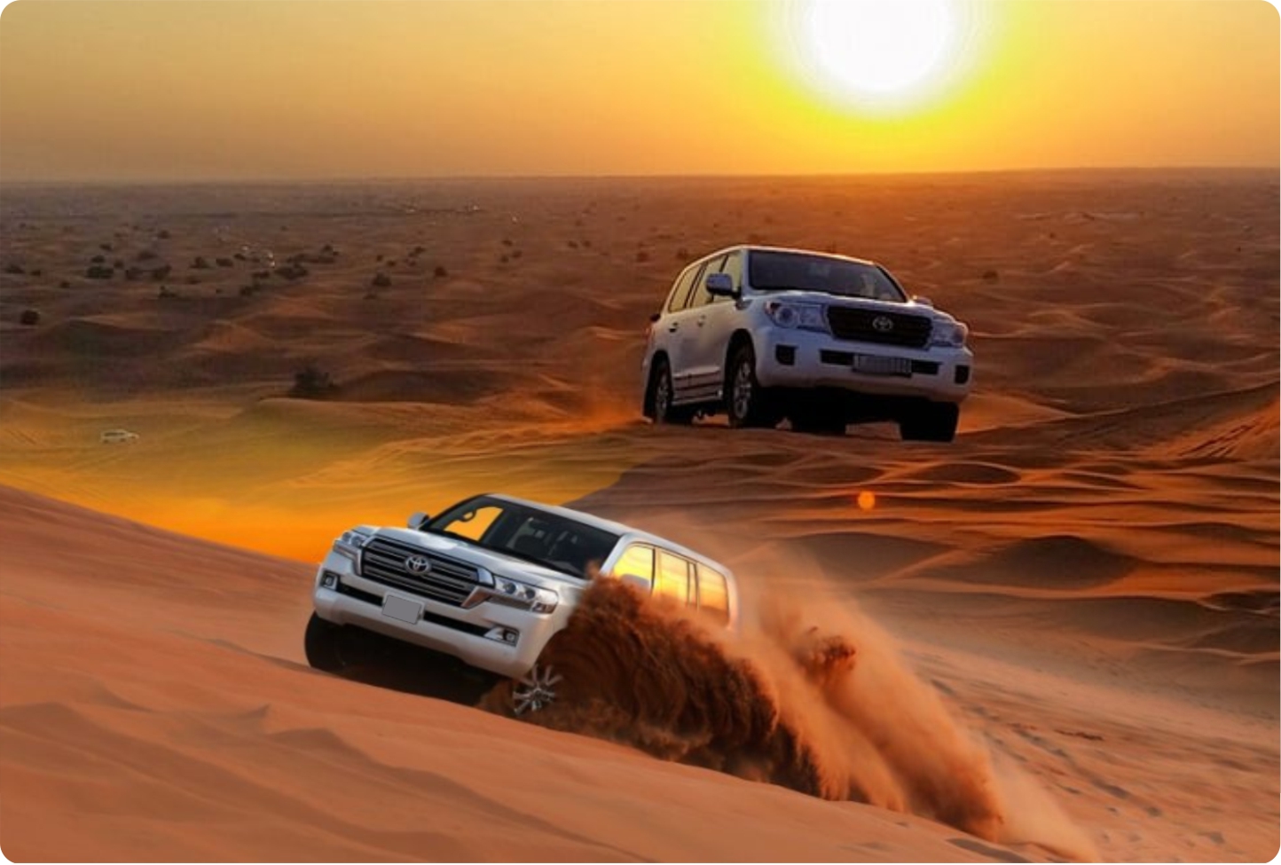 Desert Safari