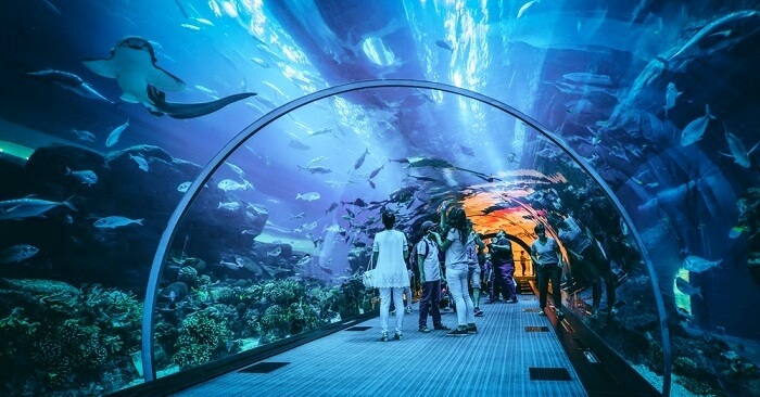 Aquarium and Underwater zoo-Dubai 