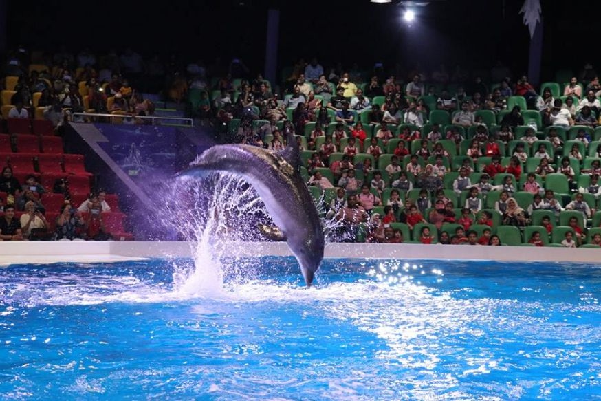 Dubai Dolphinarium